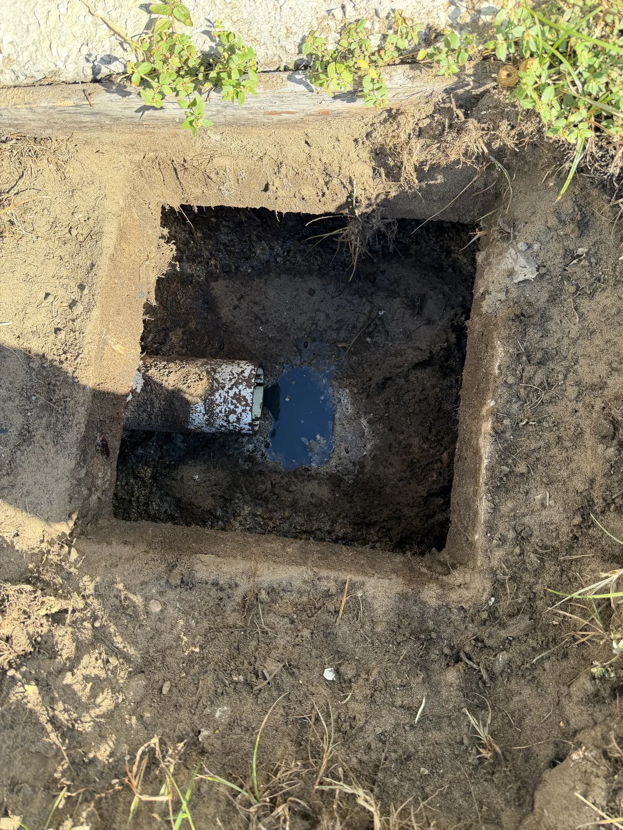 Septic access opening documented during a pump-out visit in Brandon.