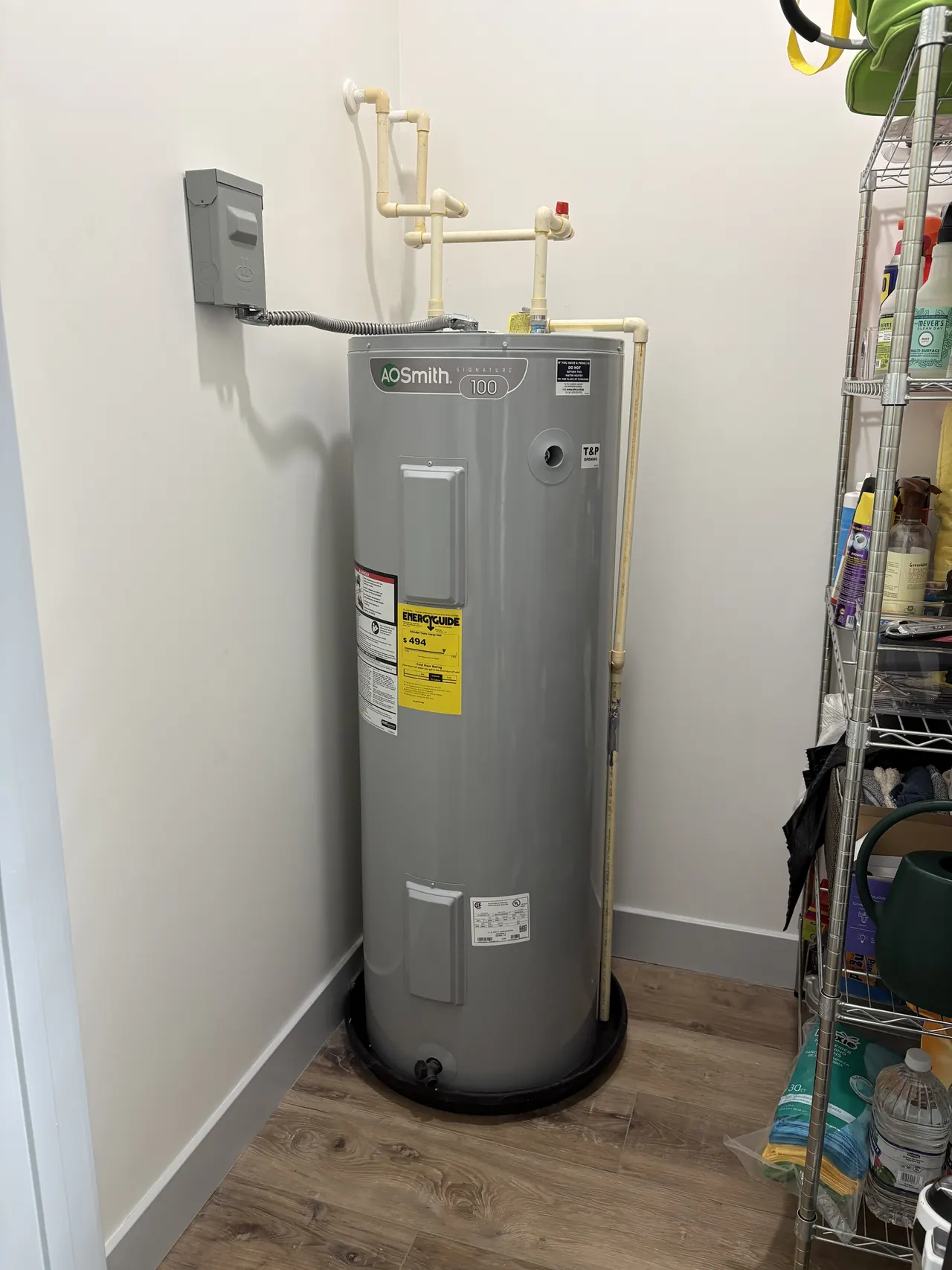 Water heater documented during a no-hot-water service call in Oldsmar.