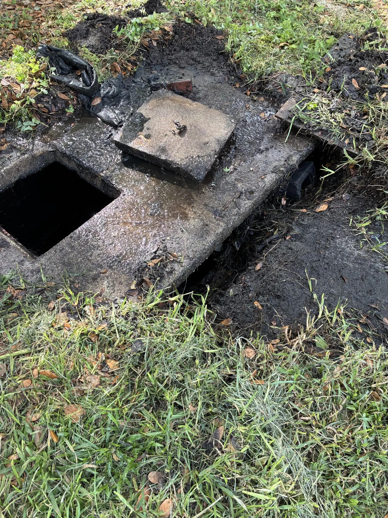 Septic tank access documented during a pump-out visit in Plant City.