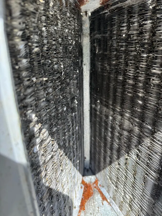 HVAC coil documented during a service visit in Safety Harbor.