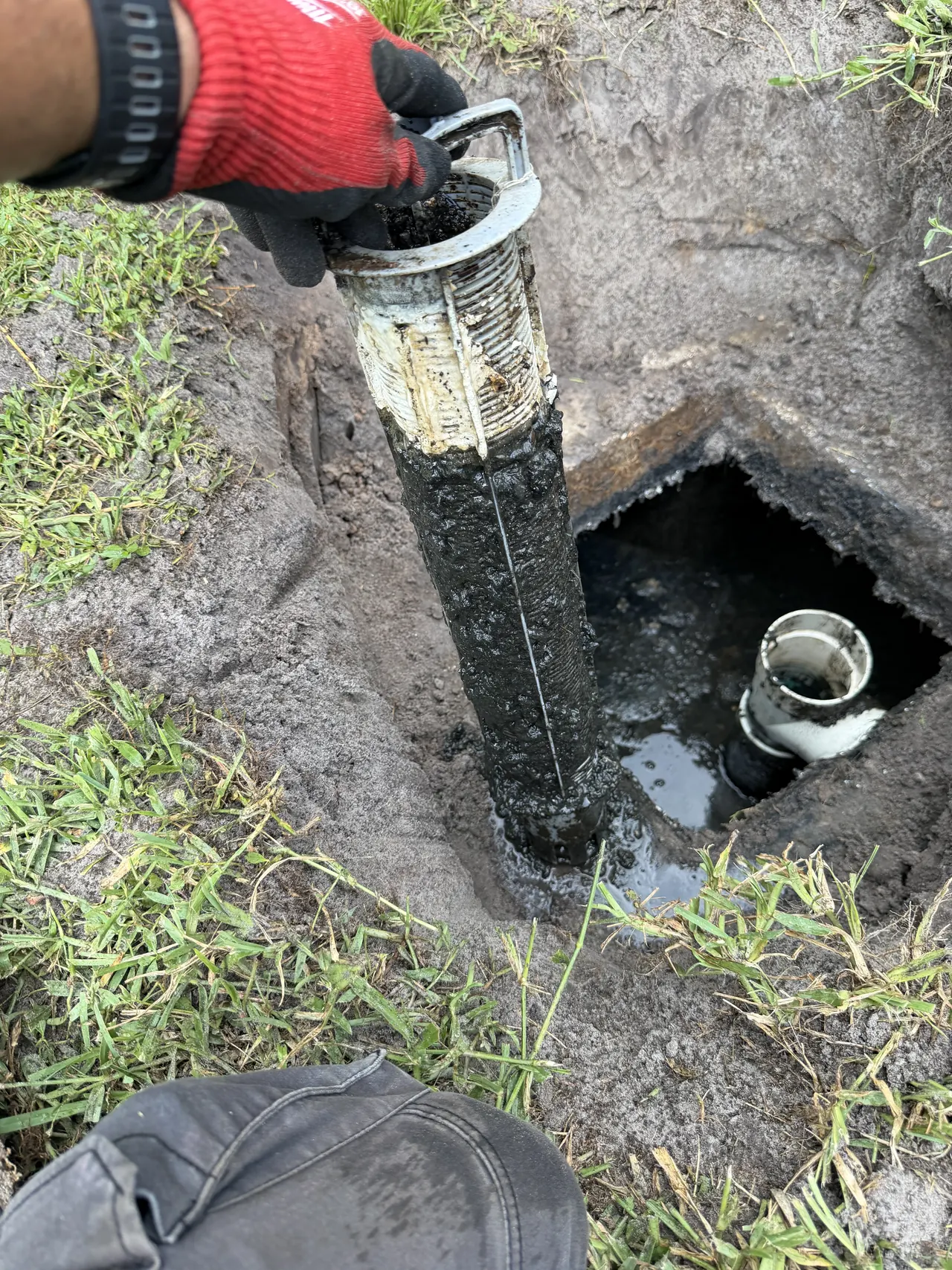 Septic filter handling documented during a pump-out service in Zephyrhills.