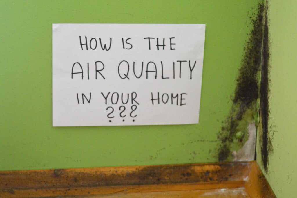 Indoor Air Quality Services in Tampa, FL